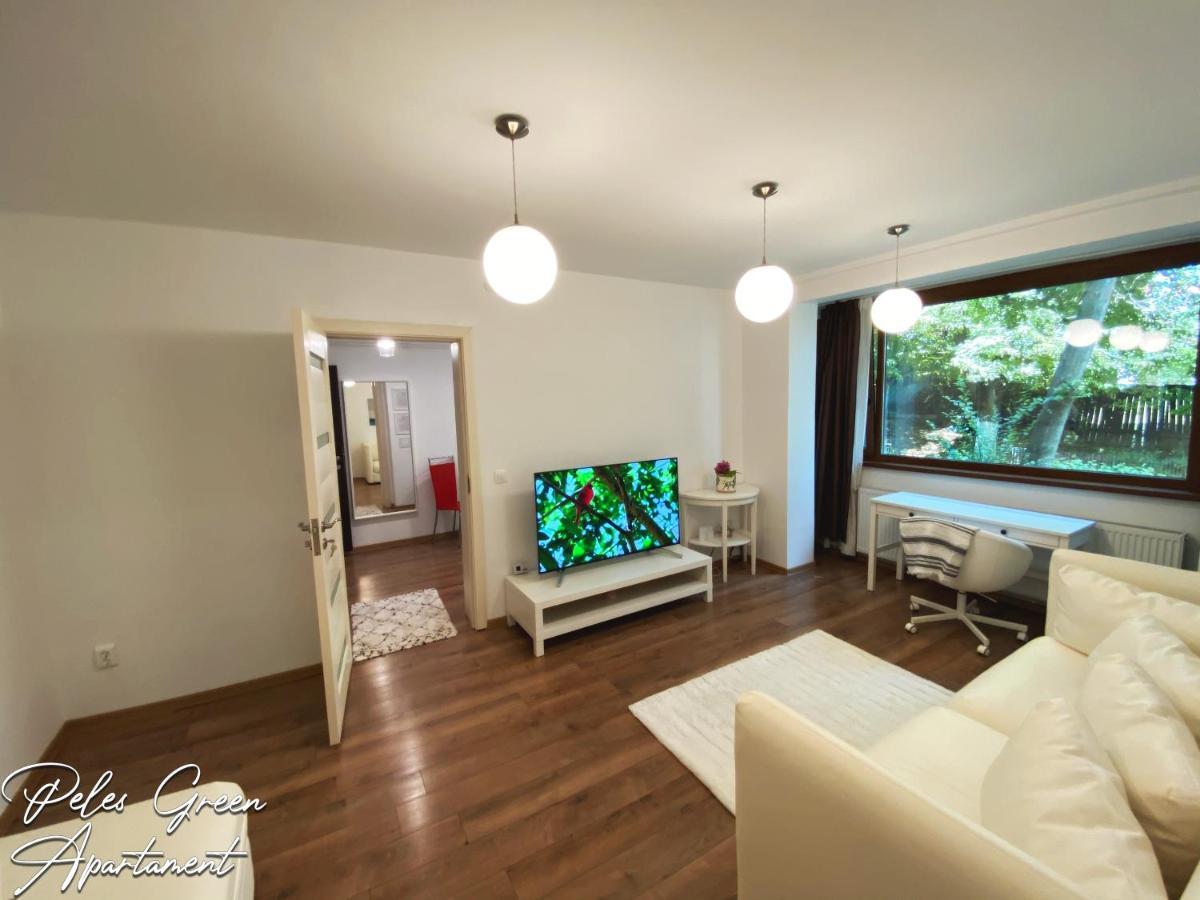Peles Green Apartment & Piano كلوج-نابوكا المظهر الخارجي الصورة