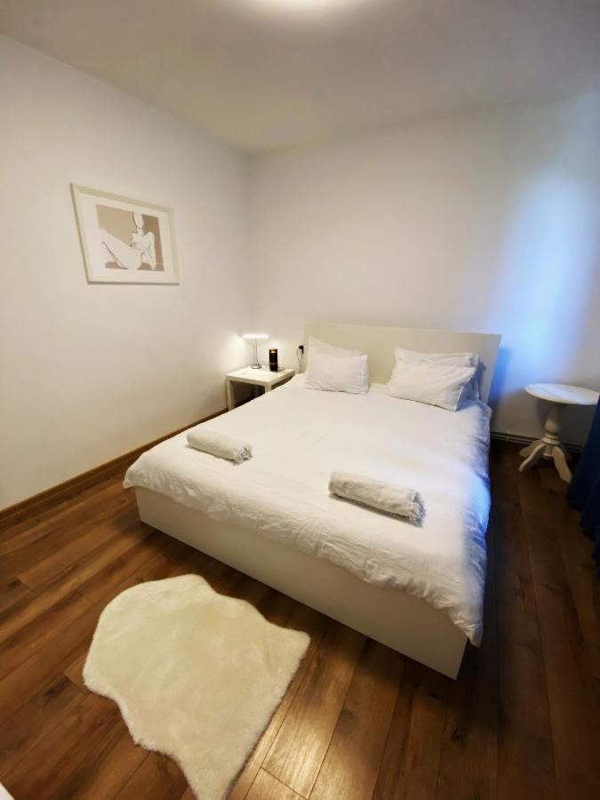 Peles Green Apartment & Piano كلوج-نابوكا المظهر الخارجي الصورة