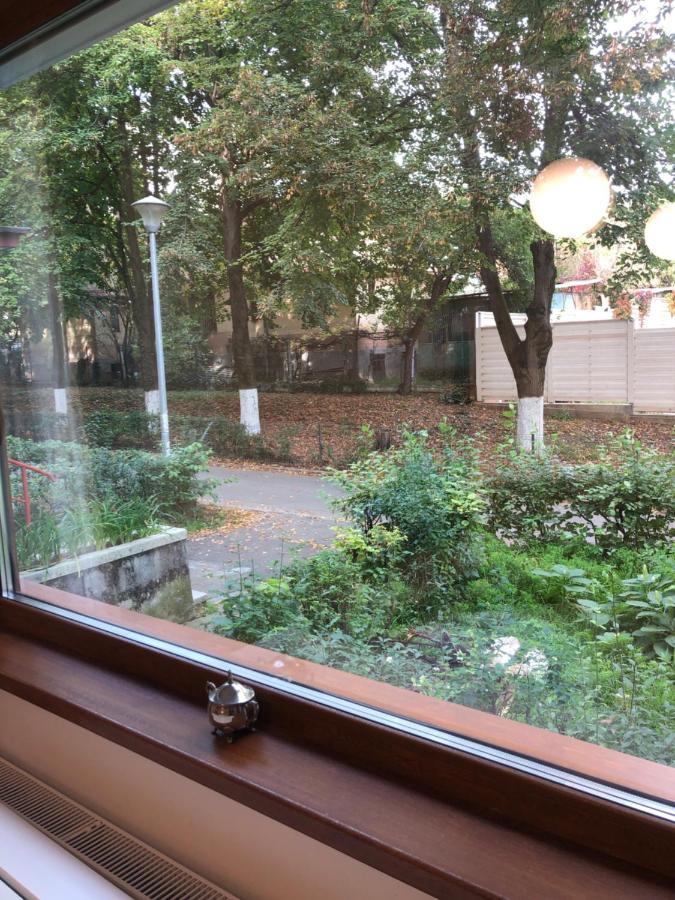 Peles Green Apartment & Piano كلوج-نابوكا المظهر الخارجي الصورة